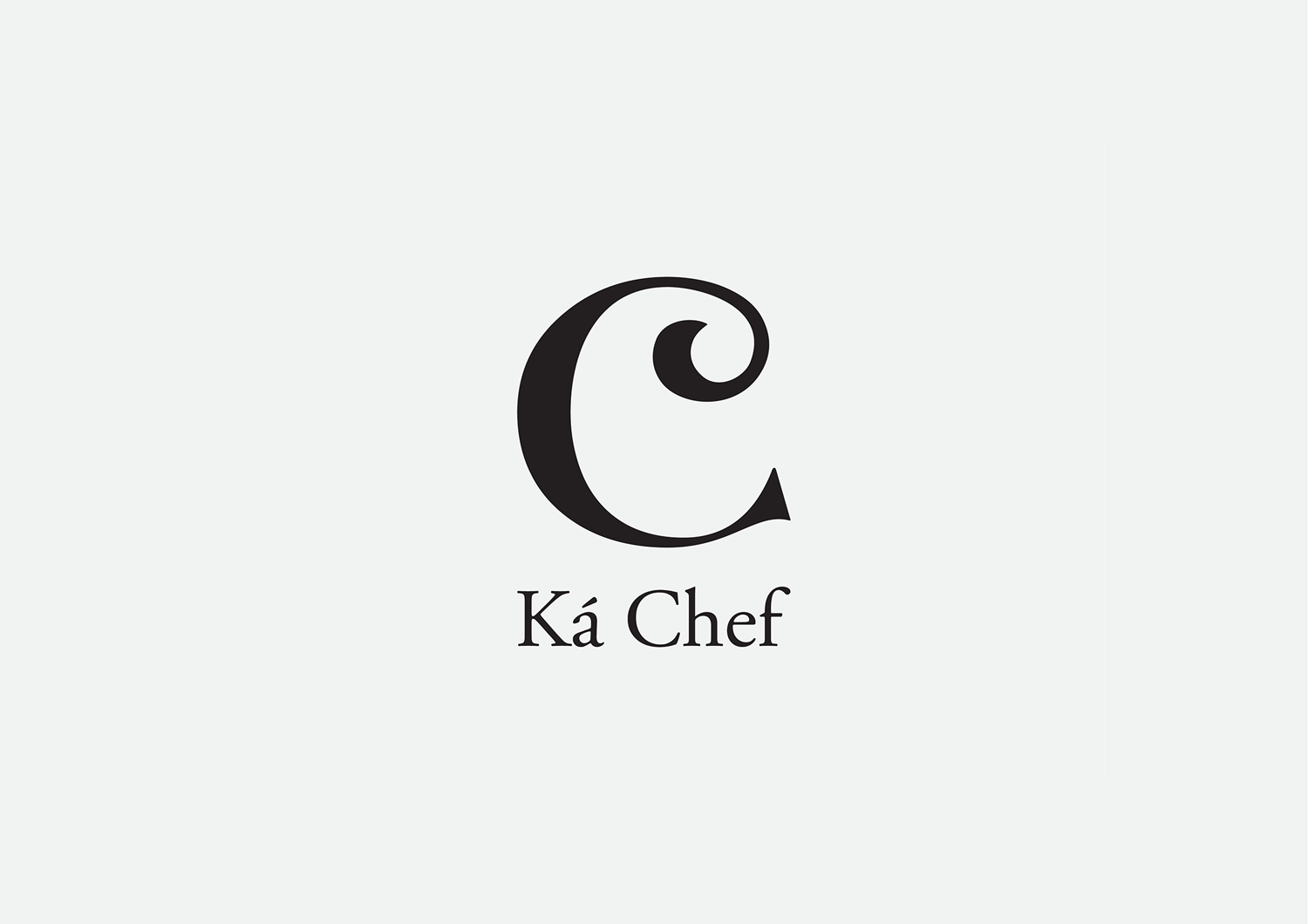 Logo design project 17